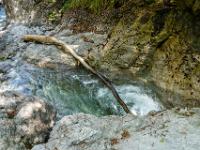 Angeschwemmter Baumstamm oberhalb einer Gumpe